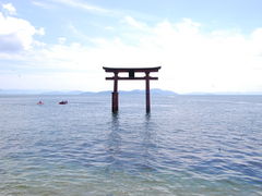 Lic̔颐_Ђւ̓eʐ^1