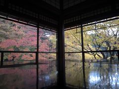 ^}񂳂̗ڗ@ւ̓eʐ^1