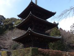 �g�����\����̉��鎛���k�O�d���ւ̓��e�ʐ^1