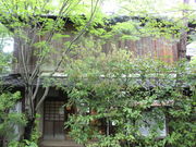 ����������̖h�{�V���{�œV�O�̓��e�ʐ^1