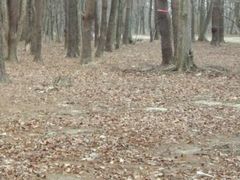 ANZ[JC̓쑊nsnւ̓eʐ^1