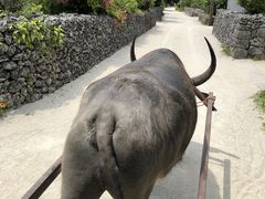 ₳̐Ί_h[όւ̓eʐ^1