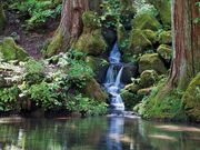 񂳂̌ÕXM؂̓eʐ^2