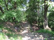 ߋT|~̐gBRÕ̓eʐ^1