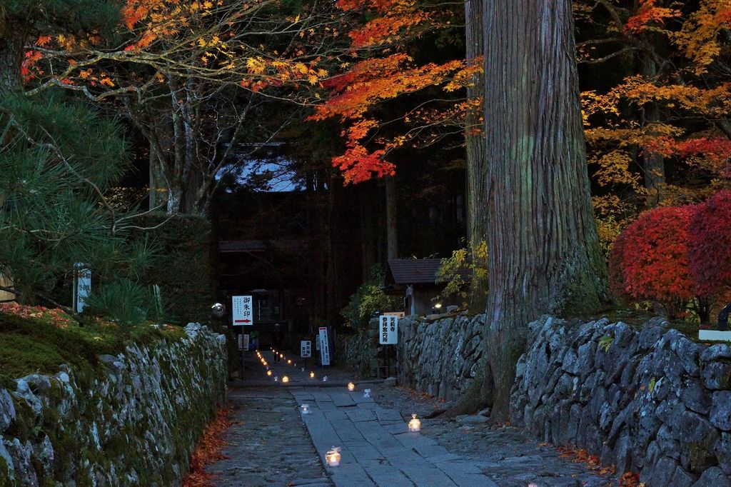 長野の動物園 植物園ランキングtop10 じゃらんnet