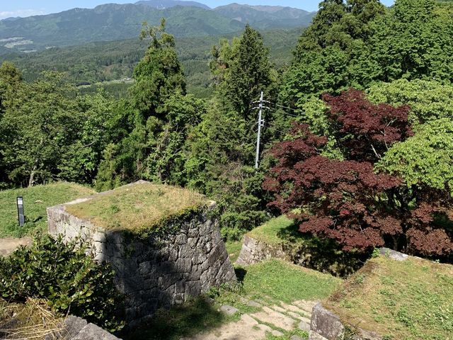 ���ォ�痈������U��Ԃ�������_�⑺���