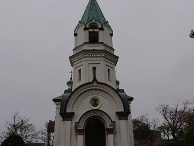 �X�e�L�Ȍ����ł��I_���كn���X�g�X������