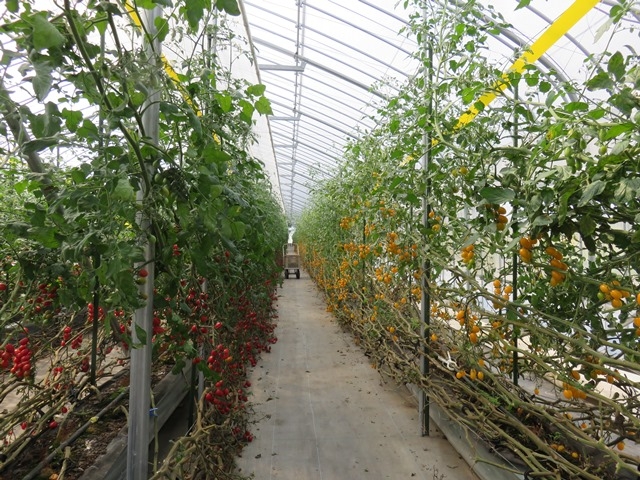 �ٓ�_FARM�@KEI