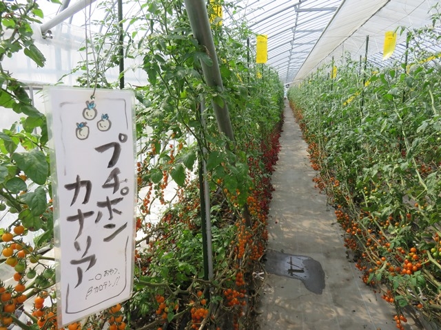 �ٓ�_FARM�@KEI