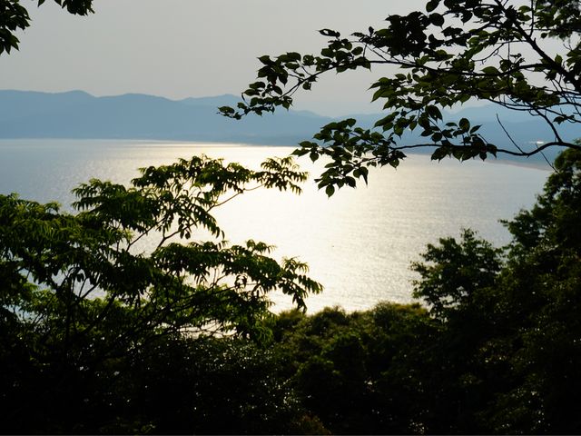 �������񂳂�̑���W�]��̓��e�ʐ^2