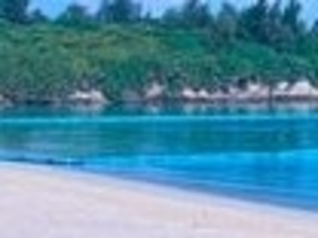 �p�C�i�K�}�r�[�`_�p�C�i�K�}�r�[�`