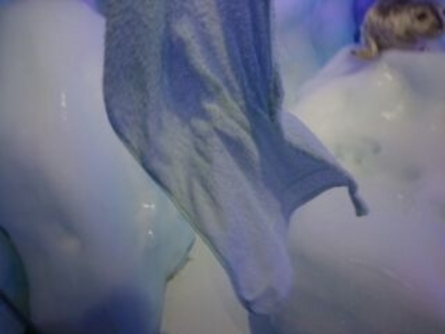 �I�z�[�c�N���X��