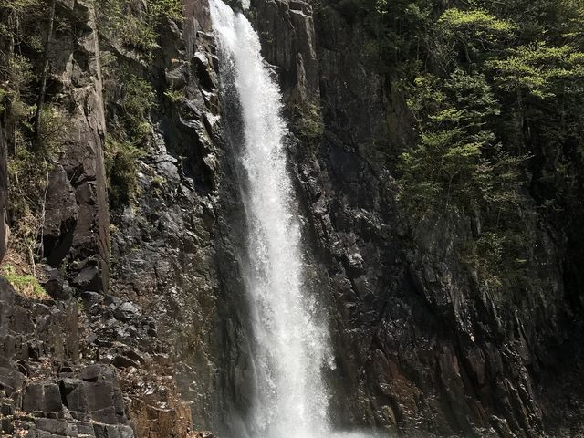 ͂܂񂳂̍M̑̓eʐ^1