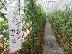 ĂFARM@KEIւ̓eʐ^3