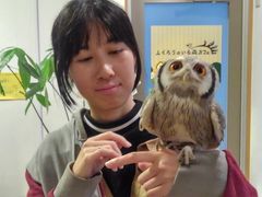 50̃Xm[{[h񂳂̂ӂ낤̂XJtFÉhXւ̓eʐ^1