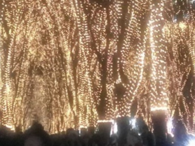 ���̃y�[�W�F���g_��T����