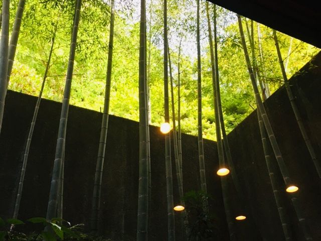 ���p�ق̂���ł�_�ڗ����@