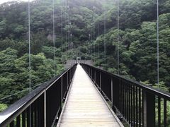 hƂ䂤q̋S{|݋ւ̓eʐ^1