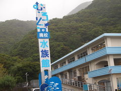 ˂񂳂̂ނƔpZقւ̓eʐ^1