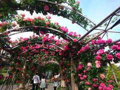 ̎Rt[Z^[EnCW̑ւ̓eʐ^1