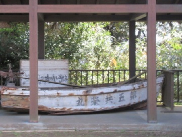 �M�̓W��_���C�m������