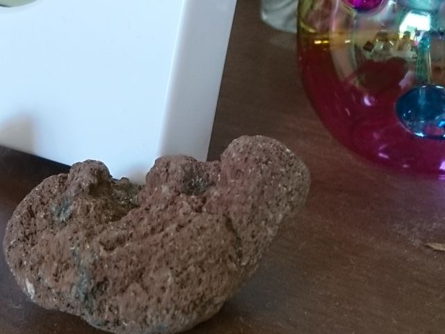 EĂ΂̒̐Ԃ̌`łB_Pq͌ω