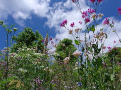 l̃K[f~[WAbւ̓eʐ^1