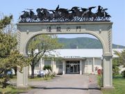 Ƃ񂳂̉Y͒yق̓eʐ^1