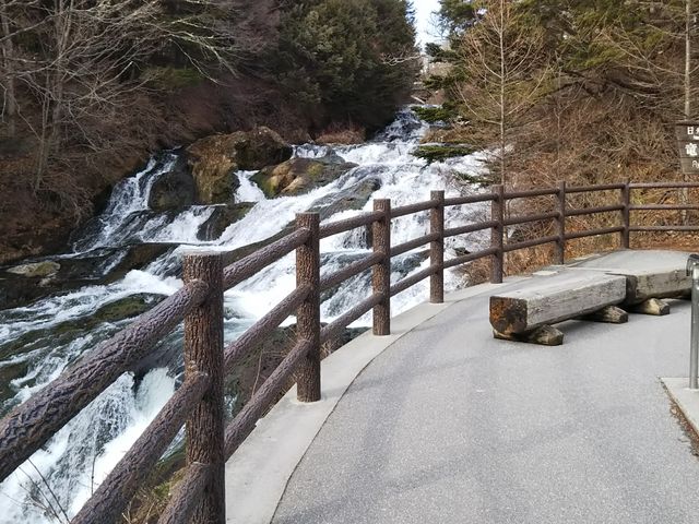 �����Č��w�ł��܂�_�����m��
