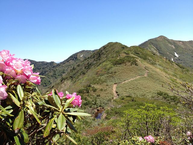 hijikigoke̔R̓eʐ^1