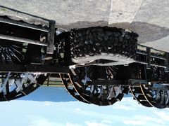 ���q�̗g���ԌQ�̎ʐ^1