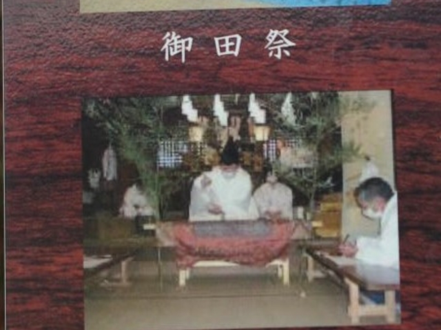 �ʈ˔䔄���_��