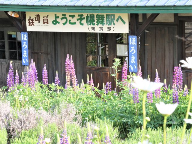 ���H�����_�f��u�S�����v���P�n