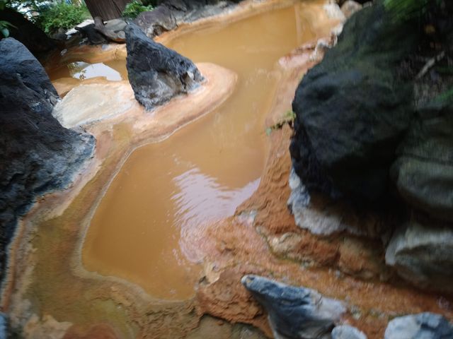 �I�V�Q_�哴�A�̏h�@���y��