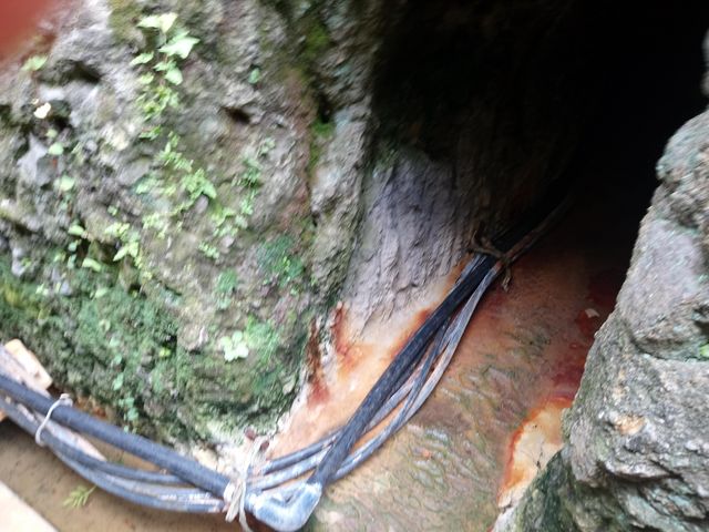 �����_�哴�A�̏h�@���y��