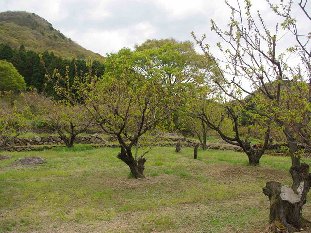 ^{剤̏㓌̂񂸂̓eʐ^1