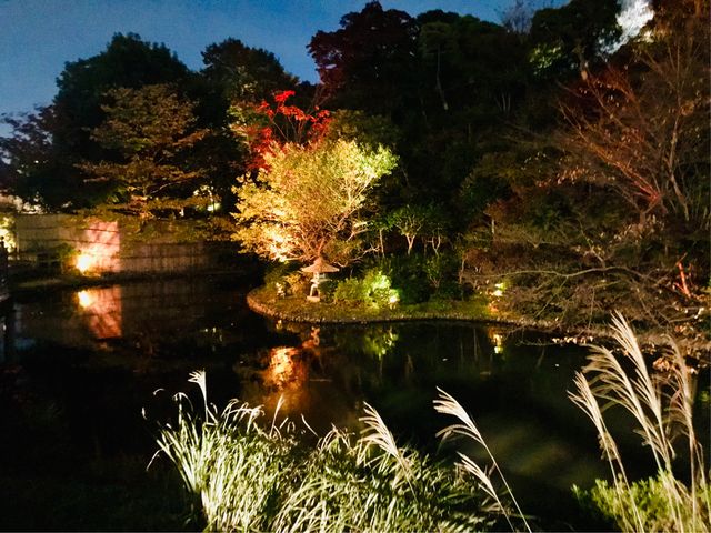 �y�֎R�� �뉀�z�H�̍g�t���C�g�A�b�v_�֎R�� �뉀