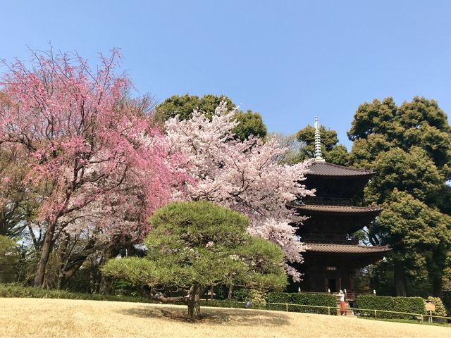 �y�֎R�� �뉀�z���ƎO�d��_�֎R�� �뉀