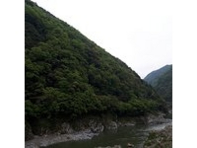 �鋫�ł�_����륏�����