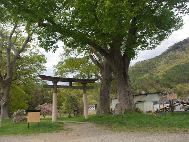 ^{剤̋ʈ˔䔄_Ђ̓eʐ^1