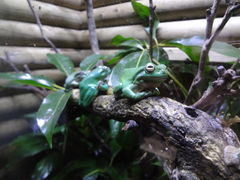 takeshikKawazoo ̊^JGقւ̓eʐ^1