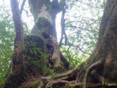 �A�N�Z���[���J�C����̃��N�X�M�����h�ւ̓��e�ʐ^1