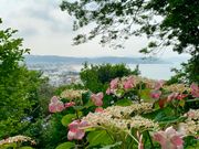 ߂̂̒J̃AWTC̓eʐ^2