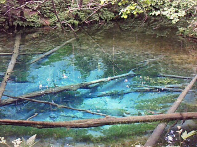 �_�̎q�r_�������W�]��