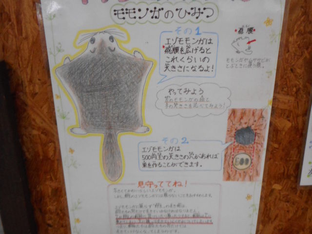 ���ǂ���������_�~�R������