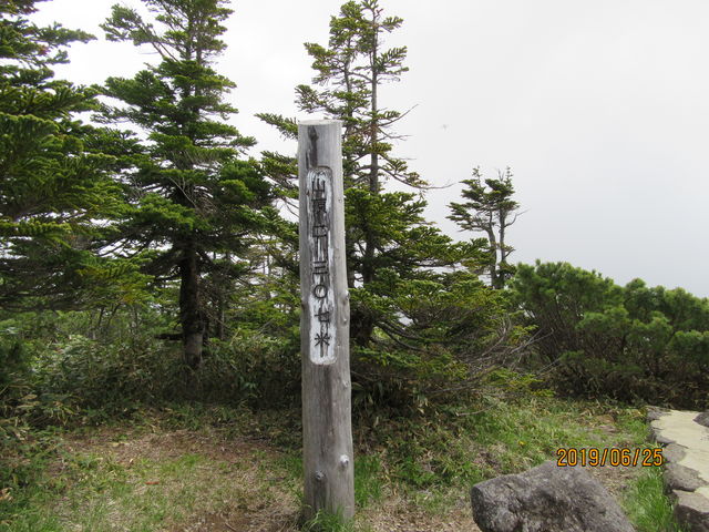 ����R�R��_�u�ꍂ������R�R��