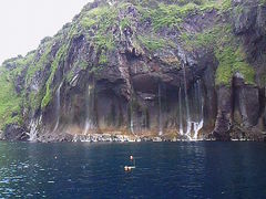 ɂǂ񂳂̃SWό@JCbJN[U[mEgN[Yւ̓eʐ^2