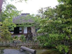 ������������̗��`�ɂւ̓��e�ʐ^1