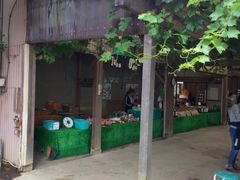 񂳂݂̂Ȃ݉ʎ|ւ̓eʐ^2