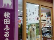 kelly̏Hcӂ邳Ɗق̓eʐ^1